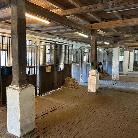Alloggio per agriturismo Meedehof Moorhausen, Wh Ziegenstall