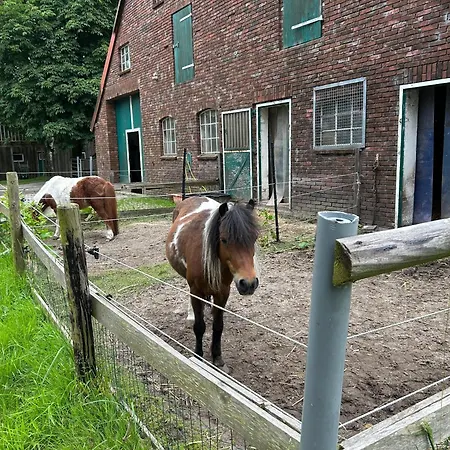Meedehof Moorhausen, Wh Ziegenstall Alloggio per agriturismo *
