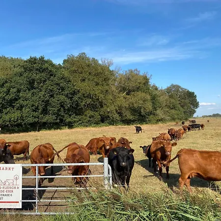 Meedehof Moorhausen, Wh Ziegenstall Alloggio per agriturismo Varel