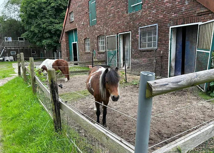 Meedehof Moorhausen, Wh Ziegenstall Фермерский дом *