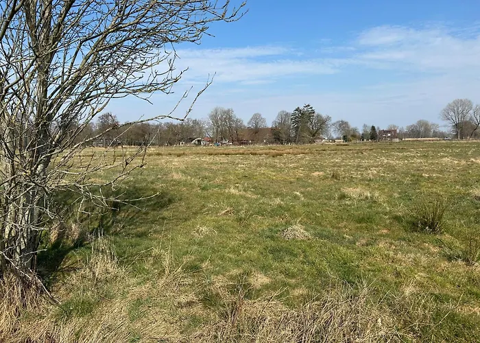 Meedehof Moorhausen, Wh Ziegenstall * Фарель